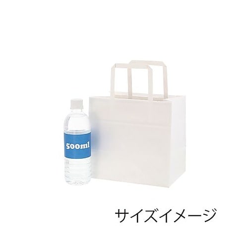 手提げ紙袋 Nフラットチャームバッグ 平