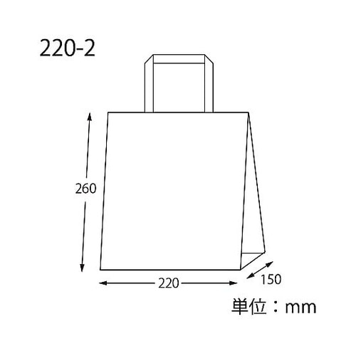 手提げ紙袋 Nフラットチャームバッグ 平