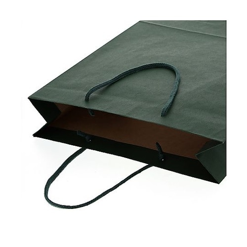 005310111 手提げ紙袋 緑