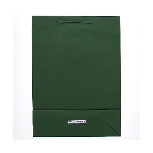 005310111 手提げ紙袋 緑