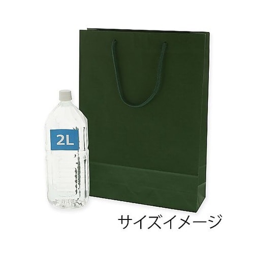 005310111 手提げ紙袋 緑