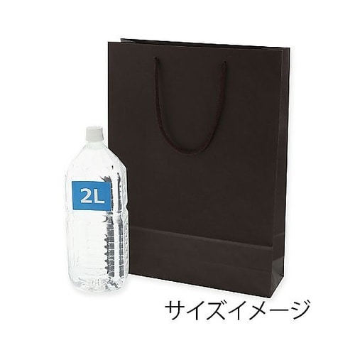 005310115 手提げ紙袋 茶