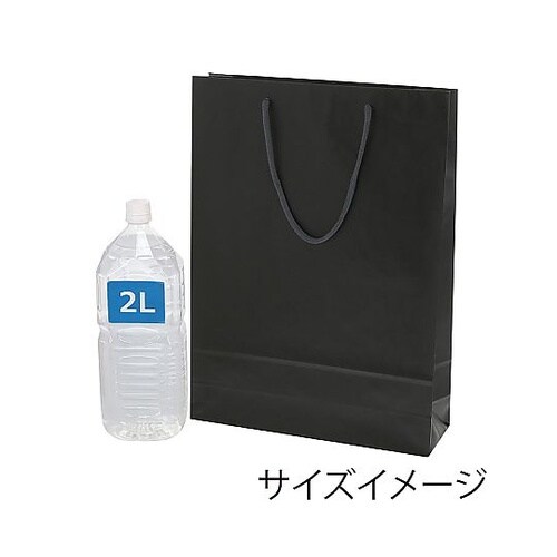 005310114 手提げ紙袋 黒