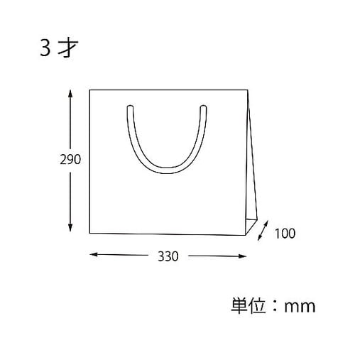005320115 手提げ紙袋 茶