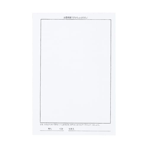 水書紙セット A4 不織布 1セット(2