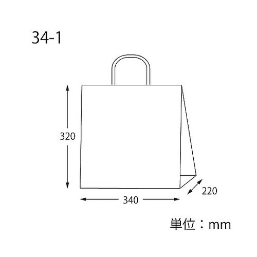 003269915紙袋25チャームバッグ
