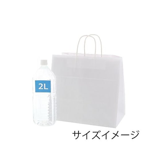 003269915紙袋25チャームバッグ