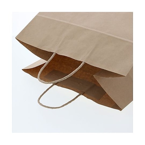 003269916紙袋25チャームバッグ