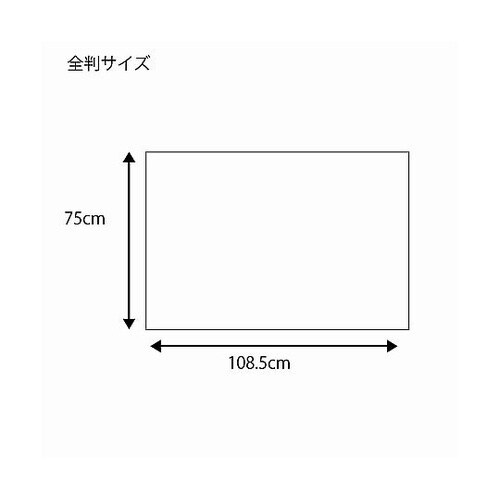 002417806 ギフト包装紙 全判