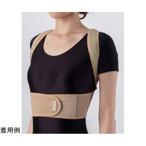 042032002 ストレッチベルト