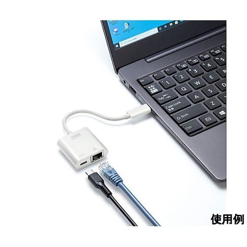 500mm LANアダプター(TypeC