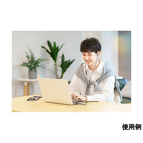 1.2m テレワーク用イヤホン(カナル型