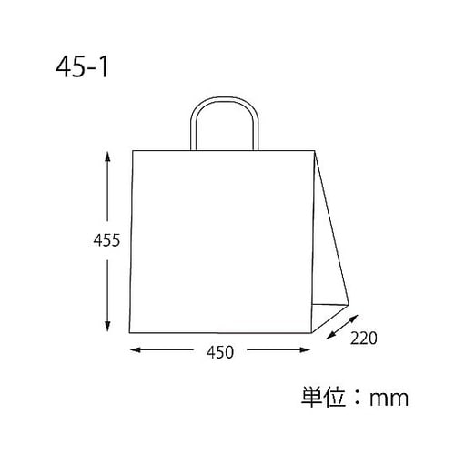 003295500 手提げ紙袋 福袋