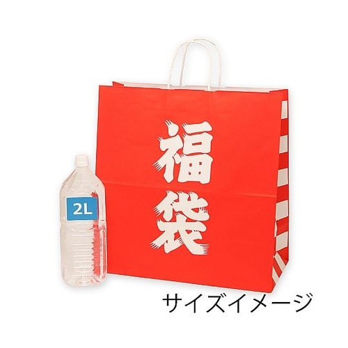 003295500 手提げ紙袋 福袋