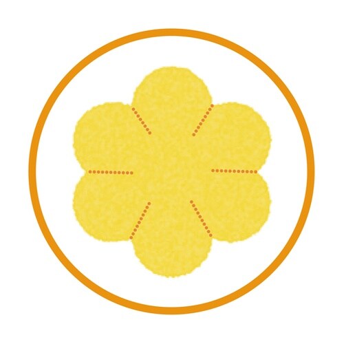 爽快スポンジ レギュラー プラスチック軸