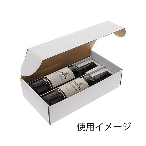 006205025 フリーボックス10枚