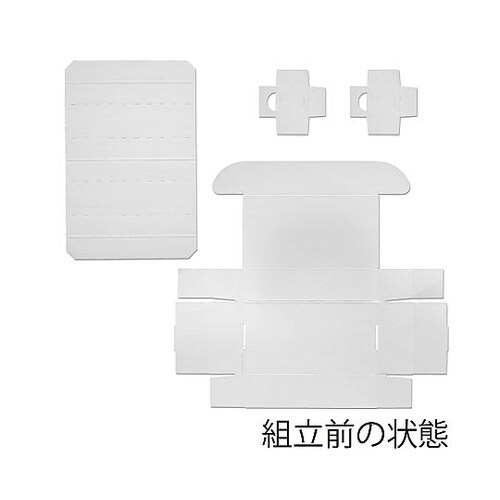 006205025 フリーボックス10枚