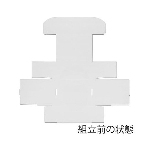 006206510 フリーボックス10枚