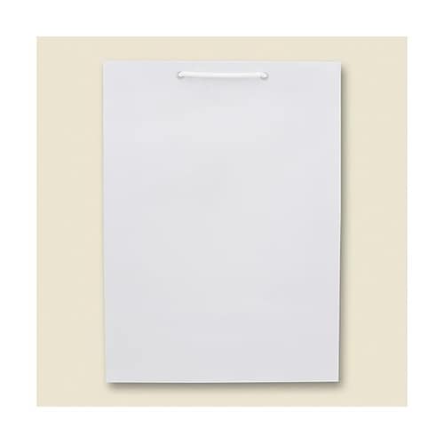 006138001 手提げ紙袋 白