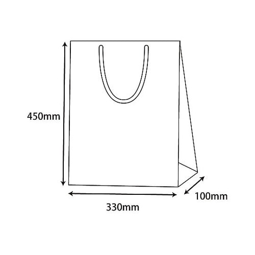 006138001 手提げ紙袋 白