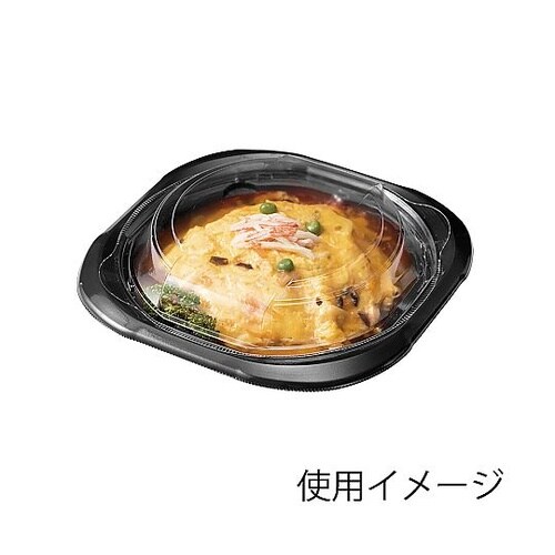 プレート容器 バイオデリカ サラエル 本