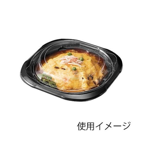 プレート容器 バイオデリカ サラエル 内