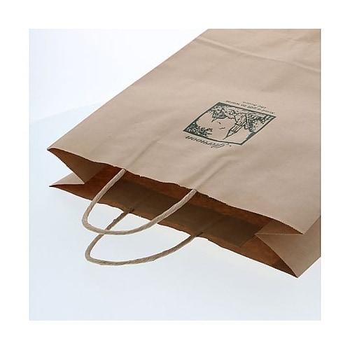 003230438手提げ紙袋アフタヌーン