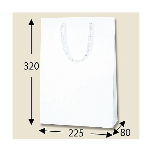 006145402 手提げ紙袋 10枚入