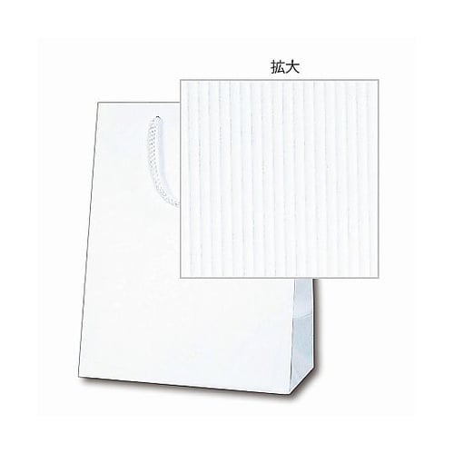 006145402 手提げ紙袋 10枚入