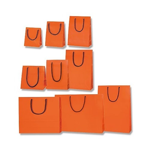 006143260 手提げ紙袋 10枚入