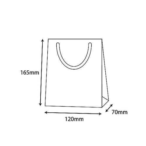 006143260 手提げ紙袋 10枚入