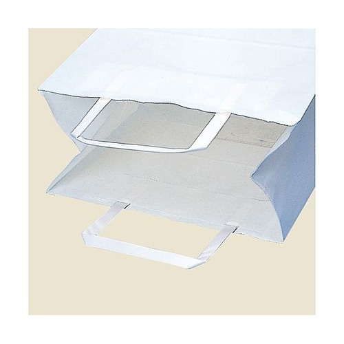 手提げ紙袋 H25チャームバッグ 晒白無