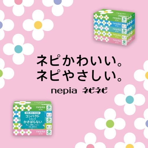 ネピネピティシュ5個パック×12