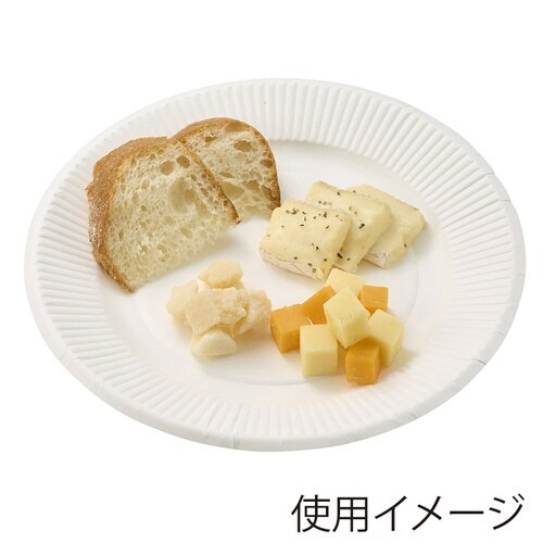 ヘイコーNFペーパープレート20cm50枚入×40