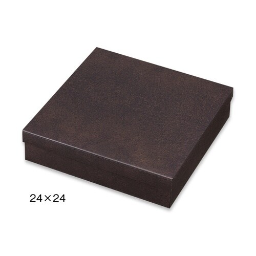 シンカセンブラオン24x16