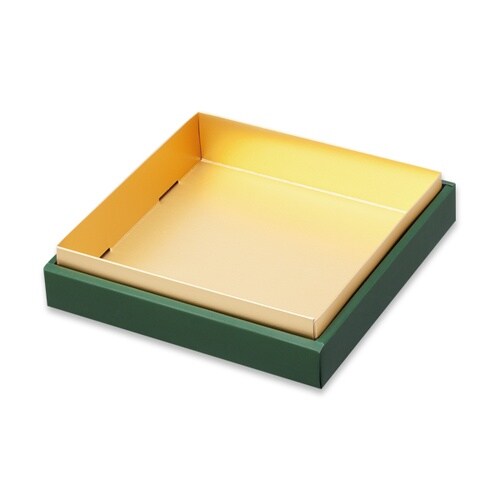 31021 シンカセンリエール16x16