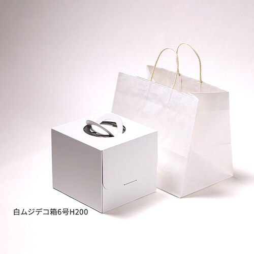 バッグ ホワイトデコ6ゴウヨウ