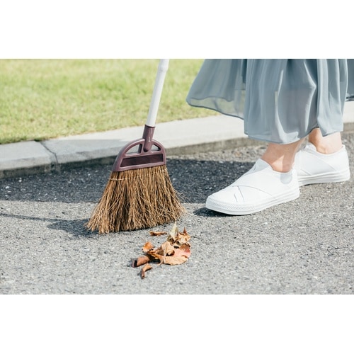 Daily Clean 庭箒(シダ)S