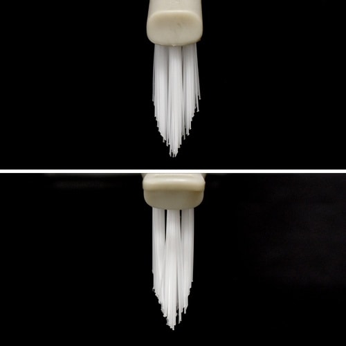 蛇口まわりブラシ