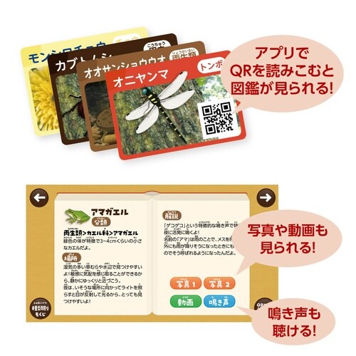 探検!いきものはっけんすごろく