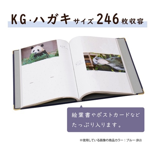 ポストカードアルバム ブルー XP−24