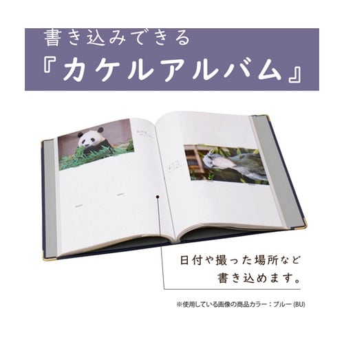 ポストカードアルバム ブルー XP−24