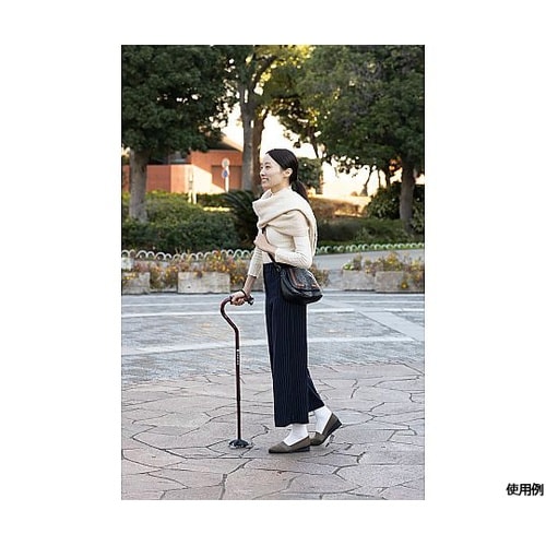 バンブーステッキオフセット多点杖 ブラッ