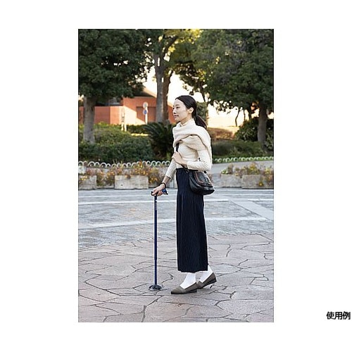 バンブーステッキ ワイド多点杖 ブラック