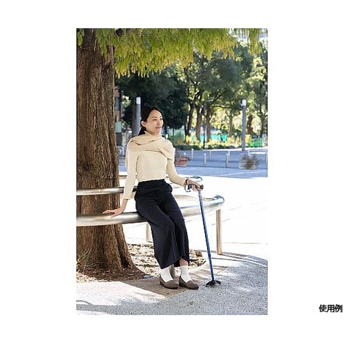 バンブーステッキ ワイド多点杖 ネイビー