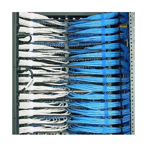 タックタイ ロールタイプ 白 (1巻=1