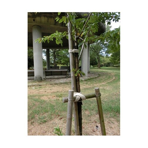 R630M 綿ロープ 3つ打