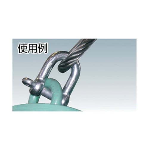 TSC019 ネジシャックル スチール製