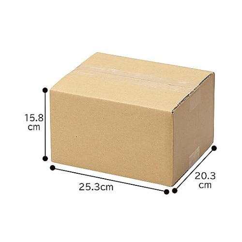 ダンボール 25.3×20.3×15.8