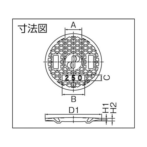 303361レジコン耐圧蓋 蓋耐圧300